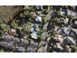 27B Seaside Avenue, Waterview, Auckland - Carousel 1