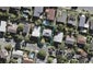 17 Barlow Place, Chatswood, Auckland - Carousel 1