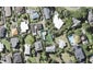 19F Hastings Road, Mairangi Bay, Auckland - Carousel 1