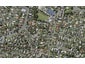 89D Udys Road, Pakuranga, Auckland - Carousel 1