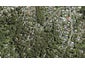 63 Wirihana Road, Titirangi, Auckland - Carousel 1