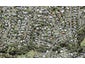 9 Thuja Street, Green Bay, Auckland - Carousel 1