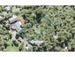 481 Scenic Drive, Waiatarua, Auckland - Carousel 1