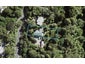 56 Huia Road, Titirangi, Auckland - Carousel 1