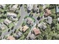 11 Woodridge Avenue, Northcross, Auckland - Carousel 1