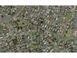 145 Boundary Road, Clover Park, Auckland - Carousel 1