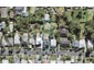 49 Third Avenue, Kingsland, Auckland - Carousel 1