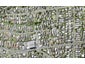 5 Garadice Road, Rothesay Bay, Auckland - Carousel 1