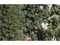 17 Brownie Road, Laingholm, Auckland - Carousel 1