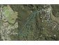 28 Fawcett Road, Laingholm, Auckland - Carousel 1