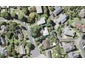 12 Addis Place, Shelly Park, Auckland - Carousel 1