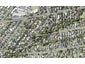 29 Sandown Road, Rothesay Bay, Auckland - Carousel 1