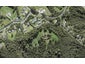 2 Trig Station Rise, Paremoremo, Auckland - Carousel 1