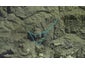 18 La Trobe Track, KAREKARE, AUCKLAND - Carousel 1