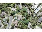 49 Layton Road, Manly, Whangaparaoa - Carousel 1