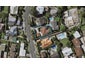 5 Ngapuhi Road, Remuera, Auckland  - Carousel 1