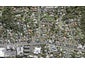 5 Roseberry Avenue, Birkenhead, Auckland - Carousel 1