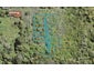10 Te Uru Huarakau Lane, SWANSON - Carousel 1