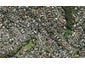 37 Lynden Avenue, Hillcrest, Auckland - Carousel 1