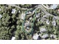 29 Ferry Road, Days Bay, Lower Hutt - Carousel 1