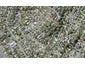 50 Patons Road, Howick, Auckland - Carousel 1
