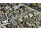 31B Stratford Road, Manurewa, Auckland - Carousel 1