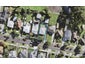 56 Methuen Road, New Windsor, Auckland - Carousel 1