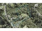 1245 East Coast Road, Redvale, Auckland - Carousel 1