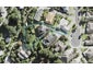 86 Rivervale Grove, Stanmore Bay, Whangaparaoa - Carousel 1
