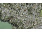 58 Beach Haven Road, Beach Haven, Auckland - Carousel 1
