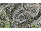 7 Tekapo Rise, Fairview Heights, Auckland - Carousel 1