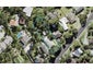 117 Cliff View Drive, Green Bay, Auckland - Carousel 1