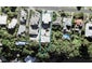 1/7 Clifton Road, Browns Bay, Auckland - Carousel 1
