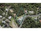 53 Glendhu Road, Bayview, Auckland - Carousel 1