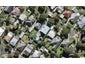 17 Brewster Avenue, Morningside, Auckland - Carousel 1