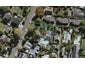 95 Portland Road, Remuera, Auckland - Carousel 1
