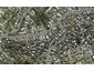 59 Coronation Road, Hillcrest, Auckland - Carousel 1