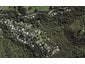 34 Scotts Terrace, Onetangi, Waiheke Island - Carousel 1