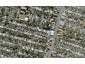 84 Halesowen Avenue, Mount Eden, Auckland - Carousel 1
