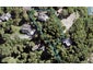 36 Arapito Road, Titirangi, Auckland - Carousel 1