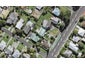677D Sandringham Road, Sandringham, Auckland - Carousel 1