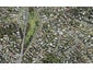 31 High Road, Glenfield, Auckland - Carousel 1
