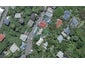 43 Holloway Road, Aro Valley, Wellington - Carousel 1