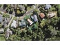 105 Bushlands Park Drive, Albany, Auckland - Carousel 1
