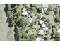 3 Ewing Road, Laingholm, Auckland - Carousel 1