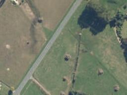 600 Wardville Road, Wardville, Waharoa