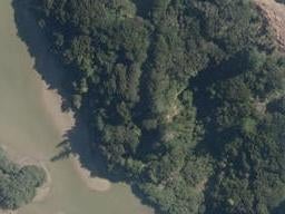 513C Waikino Road, Karetu, Karetu