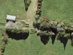 10 Wai Place, Westgate, Auckland