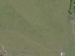 0 Petley Road, Paparoa, Paparoa