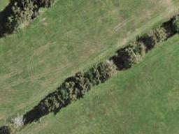 14 Pupū Crescent, Ōpaheke, Papakura